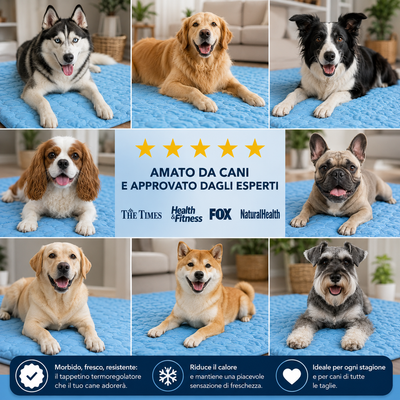 FrescaNanna - Comfort e Freschezza per il tuo Cane!